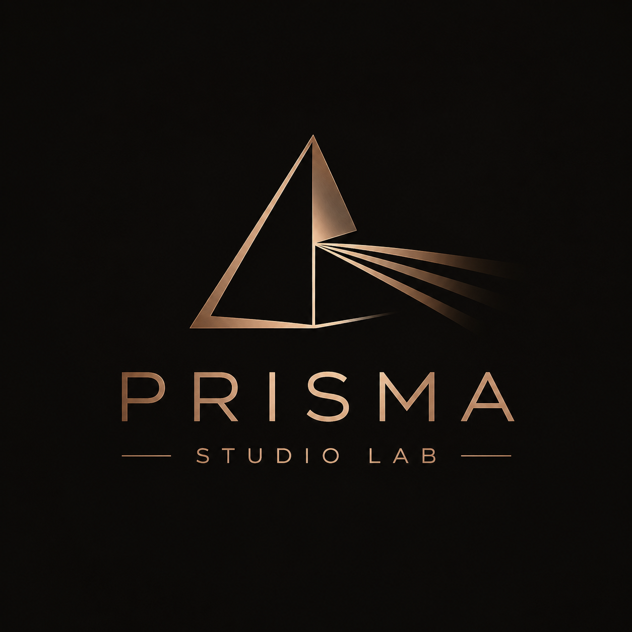 Prisma Studio Lab